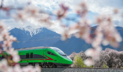 京沪高铁年运送搭客量初次冲破1亿人次并实现盈